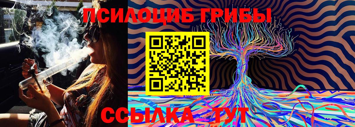 Кудымкар  Галлюциногенные грибы Cubensis  Вход с VPN 