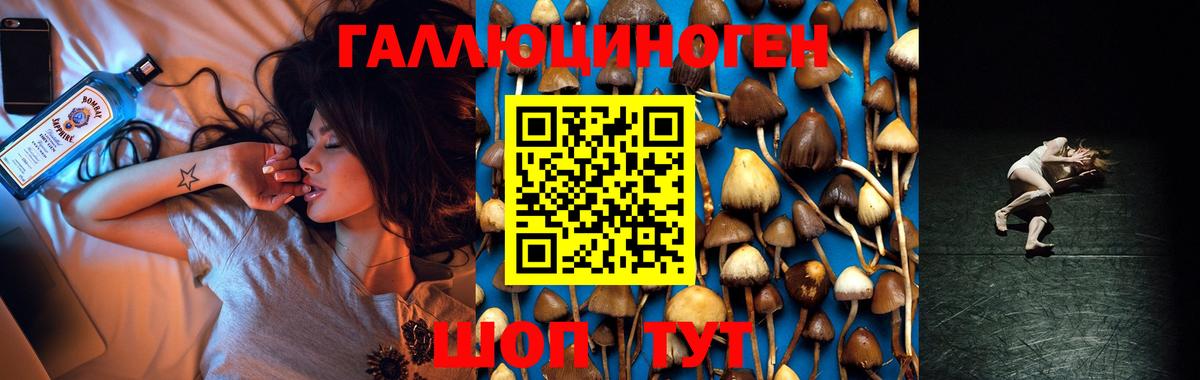 Псилоцибиновые грибы Psilocybine cubensis Кудымкар